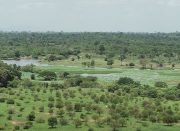 cote-d-ivoire/tai-national-park/landmark/the-basilica-of-our-lady-of-peace-of-yamoussoukro