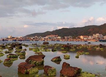 vietnam/quy-nhon/landmark/coral-island