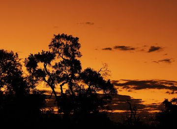 botswana/maun/landmark/bush-lark-safaris