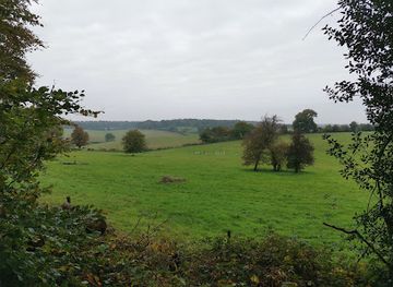 united-kingdom/berkshire/attraction/snelsmore-common-country-park-2