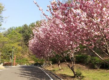 south-korea/pohang/landmark/daewonsa