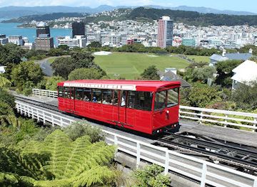 new-zealand/wellington/landmark/kaewa-tours-private-tours-of-wellington-kapiti-and-wairarapa-wine-food-craft-beer-scenic-tours-and-airport-transfers