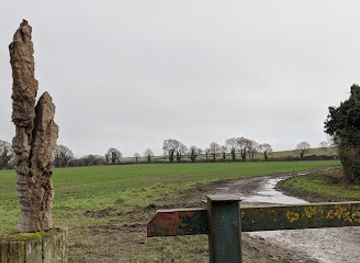 united-kingdom/cambridge-fens/attraction/fulbourn-fen-2