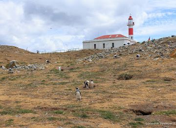 chile/central-valley/landmark/los-pinguinos-natural-monument