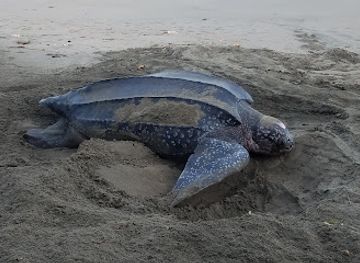 grenada/black-bay-beach/landmark/duquesne-bay