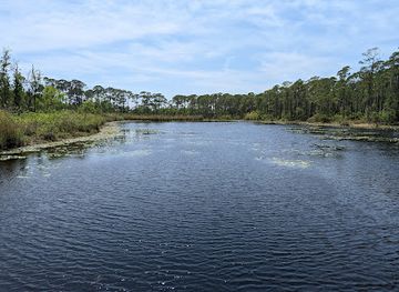 alabama/alabama-coastal-birding-trail/landmark/audubon-bird-sanctuary