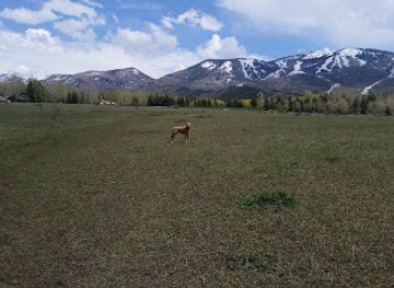 colorado/steamboat-springs/landmark/rita-valentine-dog-park