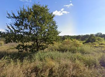 bulgaria/northwest-bulgaria/landmark/bulgarien-ungeschminkt