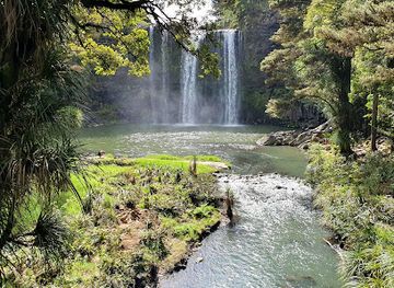Whangarei Falls