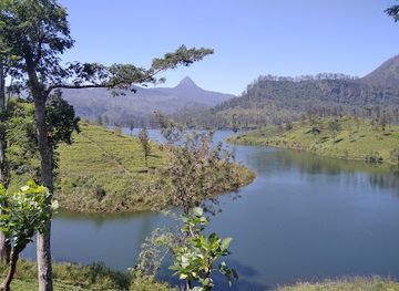 sri-lanka/adam-s-peak/landmark/adam-s-peak-view-point-maskeliya