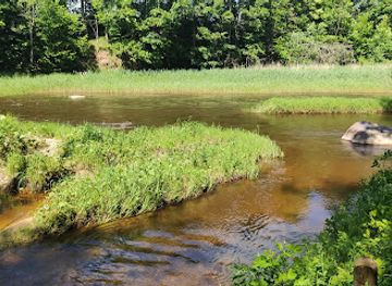 latvia/teici-nature-reserve/landmark/trusu-karaliste-ledmanes-atputas-dabas-parks