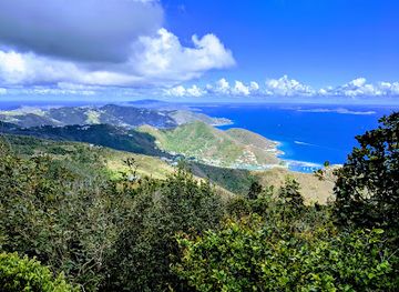 british-virgin-islands/anegada-beaches/landmark/sage-mountain-national-park