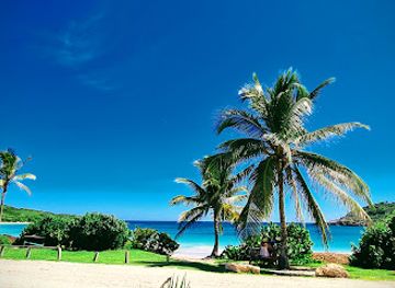antigua-and-barbuda/half-moon-bay/landmark/beach-bum-bar-cafe