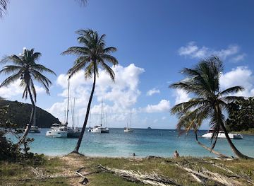 saint-vincent-and-the-grenadines/tobago-cays-marine-park/landmark/tobago-cays