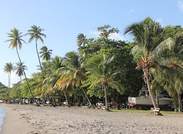 dominica/calibishie-beach/landmark/purple-turtle-beach-club