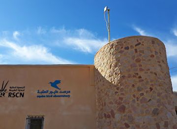 jordan/aqaba/landmark/aqaba-bird-observatory