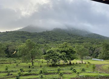 saint-kitts-and-nevis/newcastle/landmark/liamuiga-natural-farm