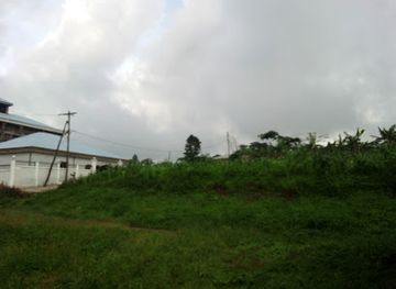 cameroon/forest-region/landmark/bakossi-mountains