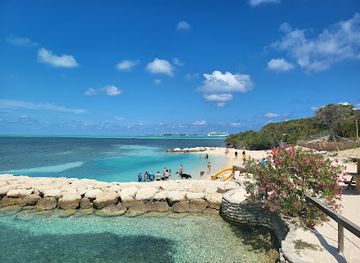 the-bahamas/berry-islands/landmark/swim-with-the-pigs