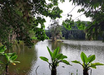 madagascar/tsingy-de-bemaraha-national-park/landmark/parc-ivoloina