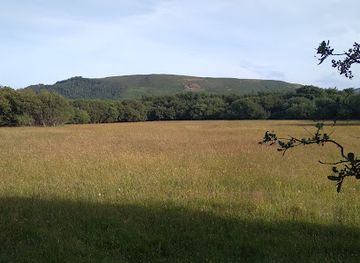 isle-of-man/the-sound/landmark/mwt-close-sartfield-nature-reserve