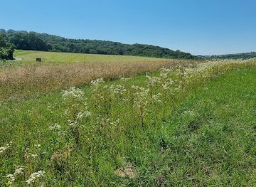 austria/weinviertel/landmark/kreisgraben-puch