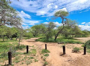south-africa/waterberg/landmark/nylsvlei-nature-reserve