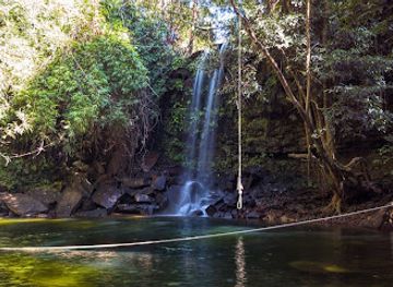 thailand/cardamom-mountains/landmark/peam-krasaop-wildlife-sanctuary