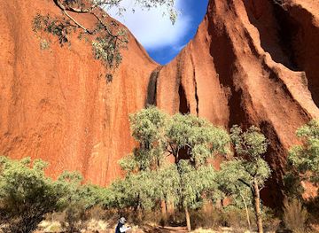 australia/alice-springs/landmark/the-rock-tour