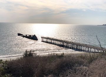 california/palo-alto/landmark/ss-palo-alto