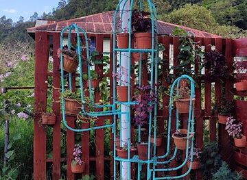 panama/boquete/landmark/tacoholics