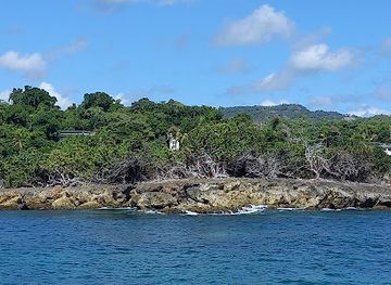 dominican-republic/los-haitises/landmark/whale-samana-by-kim-beddall