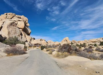 california/joshua-tree-national-park/landmark/joshua-tree-friendly-hills-park