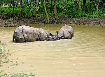nepal/chitwan-national-park/landmark/new-sauraha-tharu-cultural-house