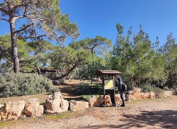 cyprus/paphos-forest/landmark/pikni-forest
