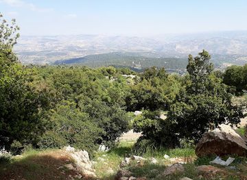 jordan/eastern-highlands/landmark/dibbeen-forest-reserve