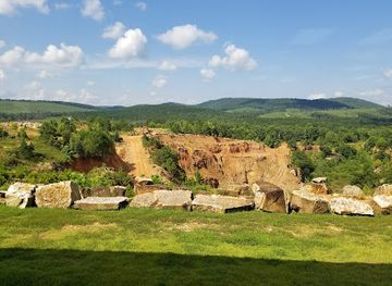 arkansas/lower-delta/landmark/ron-coleman-mining