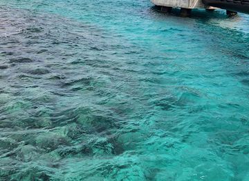 curacao/playa-santa-cruz/landmark/curacao-rif-mangrove-park