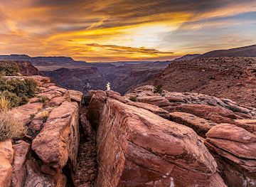 arizona/kaibab-national-forest/landmark/toroweap-overlook