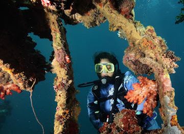 solomon-islands/munda-dive-sites/landmark/tulagi-dive