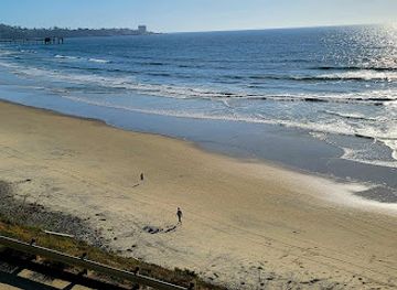 california/san-diego-beaches/landmark/torrey-pines-city-beach