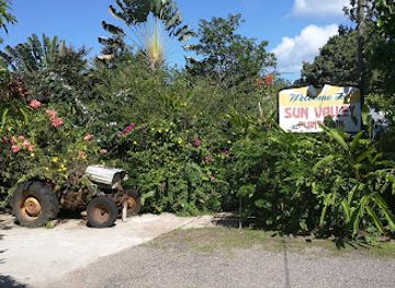 jamaica/port-maria/landmark/sun-valley-plantation-hummingbird-garden