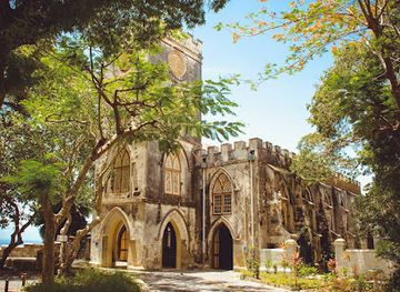 barbados/crane-beach/landmark/ins-outs-of-barbados