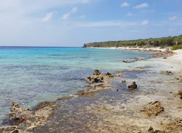 curacao/playa-manzalina/landmark/landhuis-san-juan