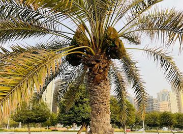 united-arab-emirates/abu-dhabi/landmark/abu-dhabi-memories-1