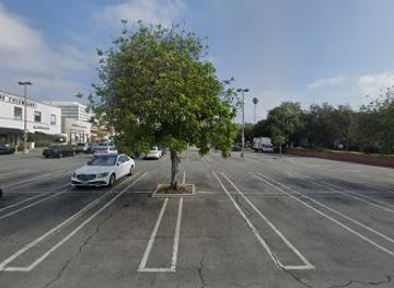 california/pasadena/south-lake-avenue/landmark/south-lake-avenue