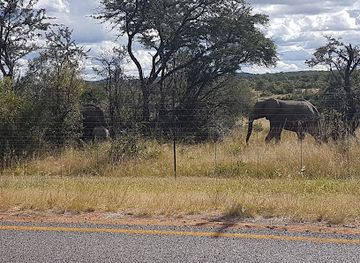 south-africa/bushveld/landmark/adventures-with-elephants