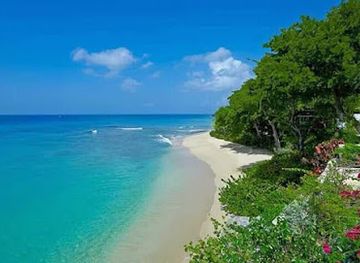 barbados/silver-sands/landmark/andromeda-botanic-gardens