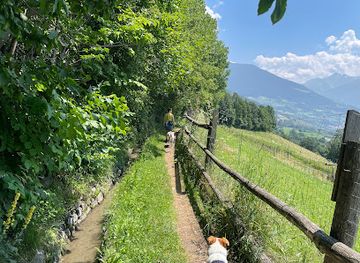 italy/val-venosta/landmark/roggia-oberwaal