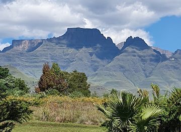 south-africa/drakensberg/landmark/falcon-ridge-bird-of-prey-centre